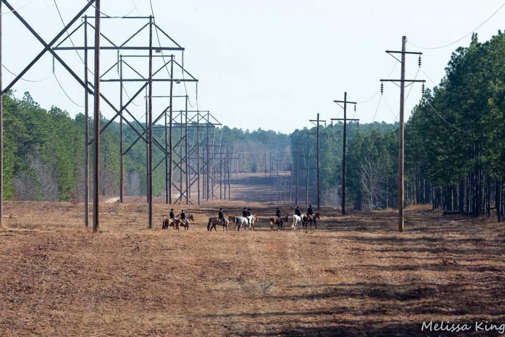 Camden Hunt in open fields with electrical poles.