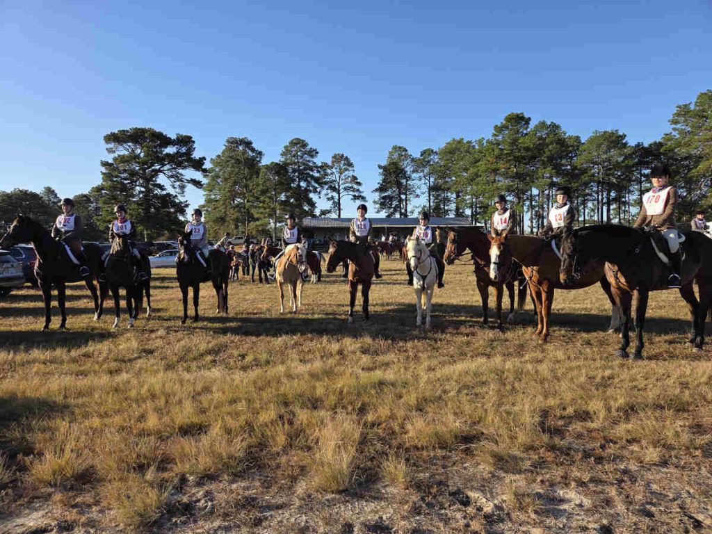 Riders wearing pennies riding horses.